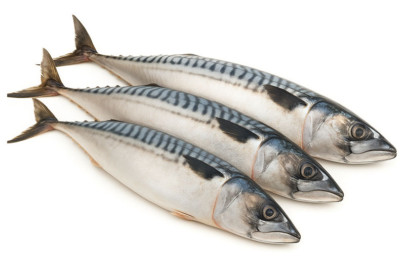 Frozen Abidjan Salmon (Half Box - 10 Kilos)