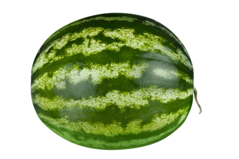 Watermelon (Large)